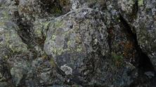 05 pillow lava 05 pillow lava